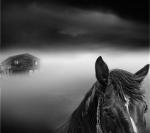 2514214-tangoulis-misty-scapes-4-710x631