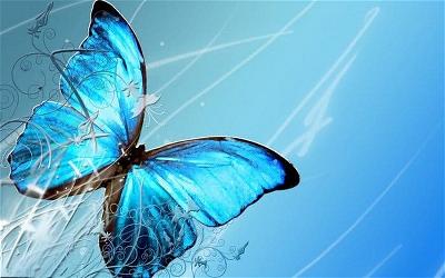 canh bướm xanh