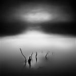2514225-tangoulis-misty-scapes-15-710x710