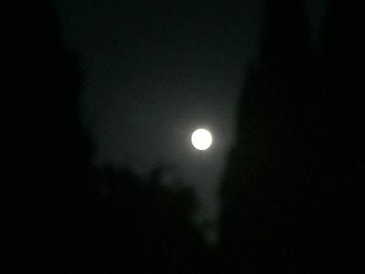 trăng vu lan - photo DH