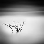 tangoulis-misty-scapes-2-710x710
